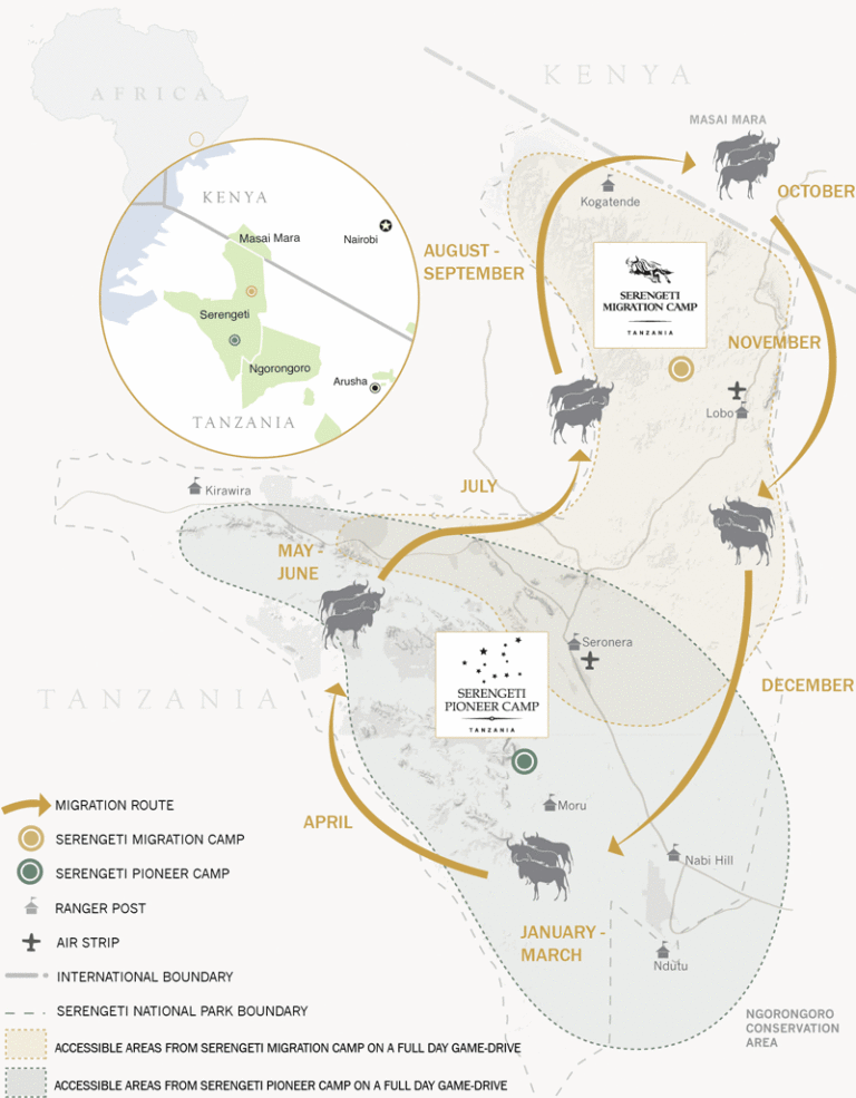 Watching the Great Migration in Style Emerging Destinations