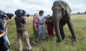 Jack Hanna filming one of his shows