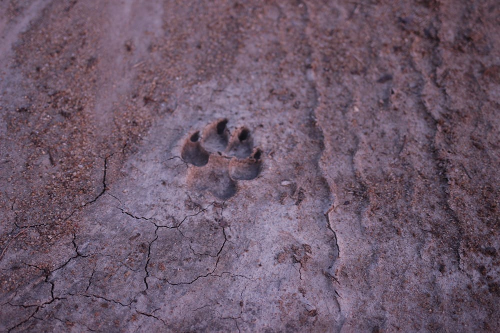 EcoTracker EcoTraining