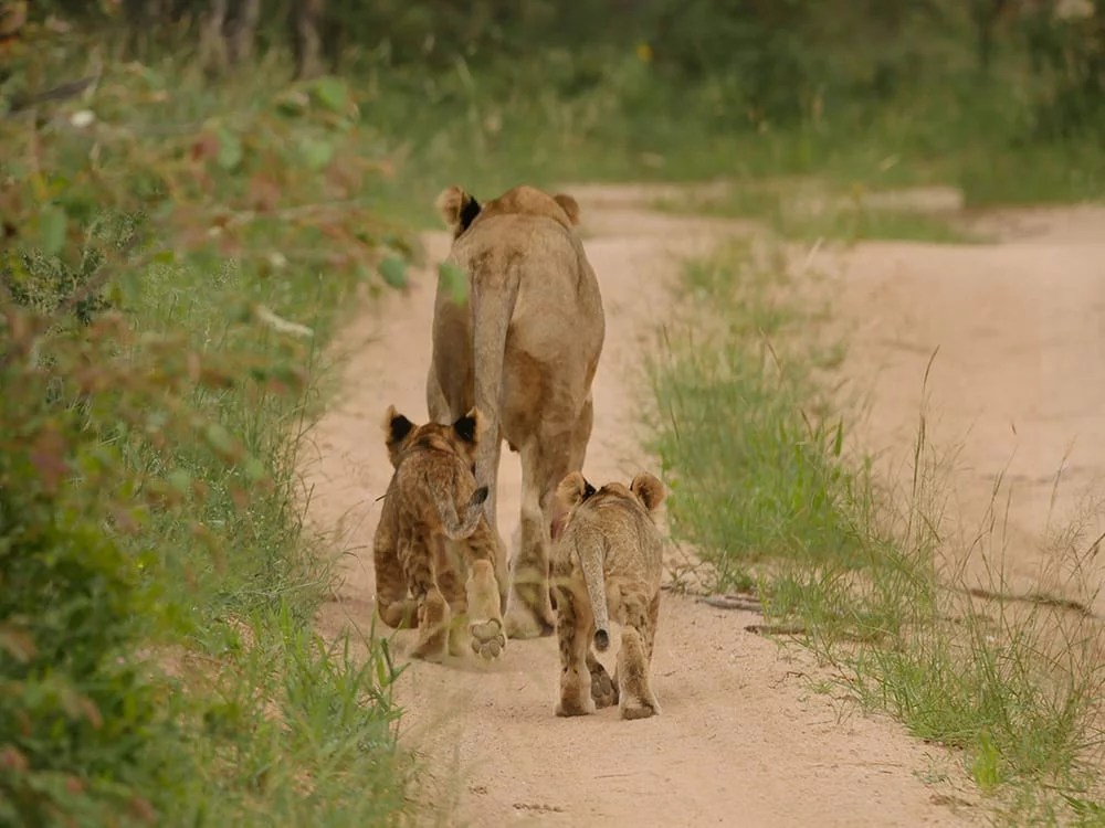 EcoTracker EcoTraining