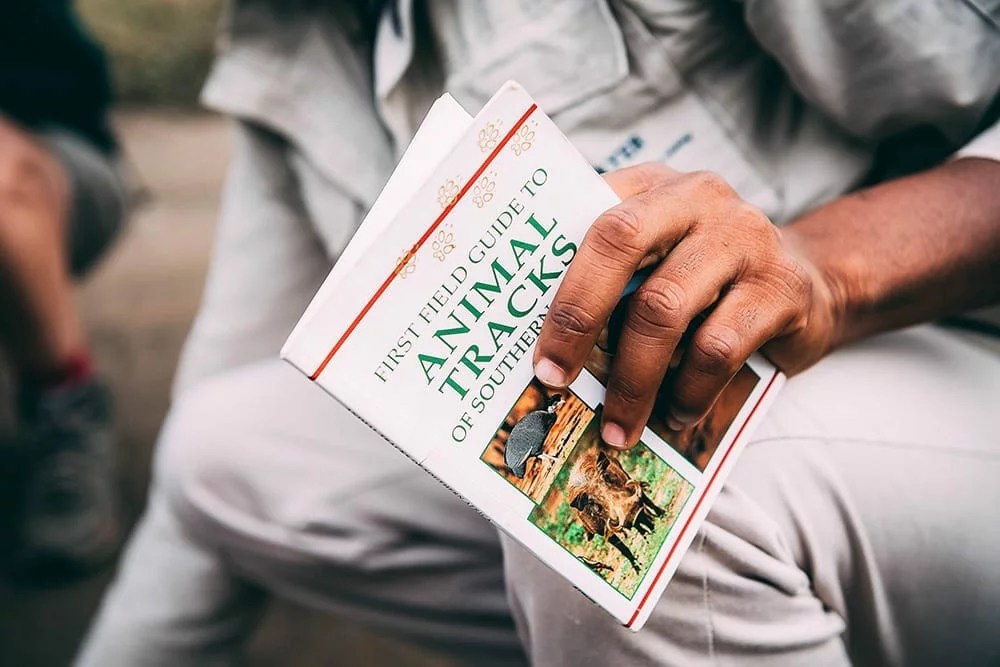 EcoTracker EcoTraining