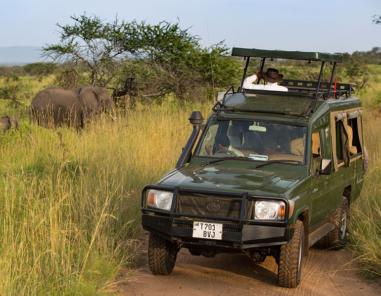 New Fees at Four Tanzania National Parks | Emerging Destinations