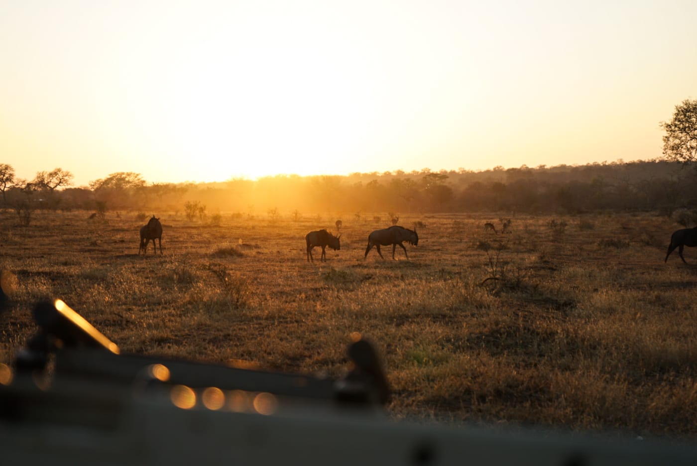 Africa Through the Viewfinder