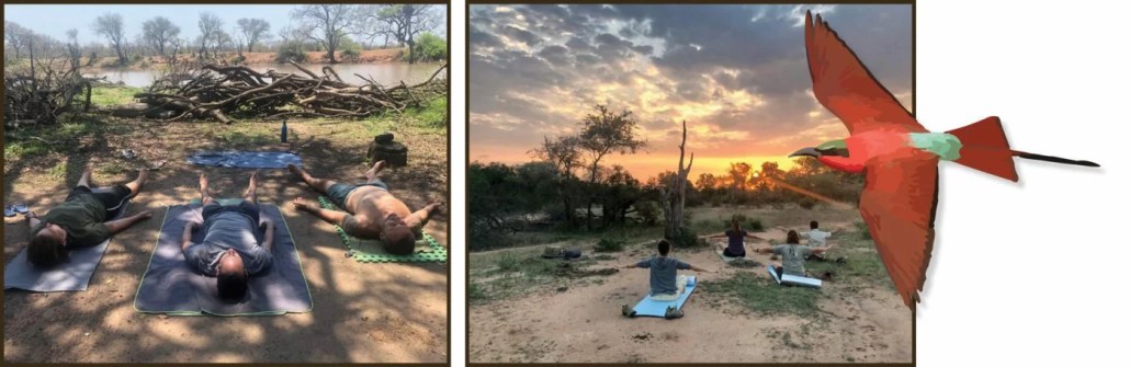 Keeping fit in the bush