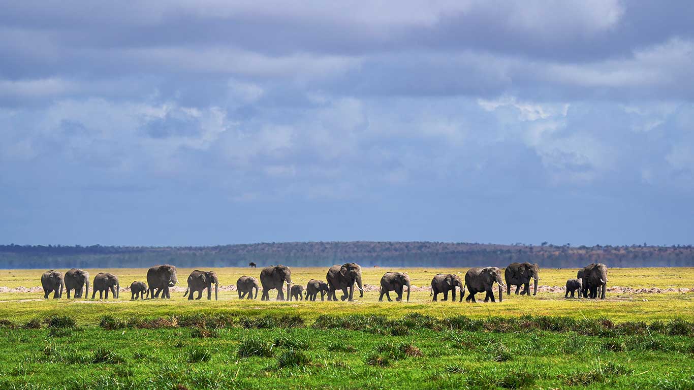 East Africa’s Green Season Vibe
