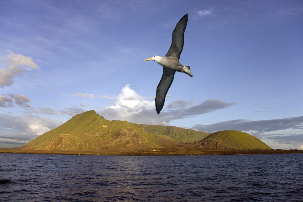 Land Based Tours of the Galapagos