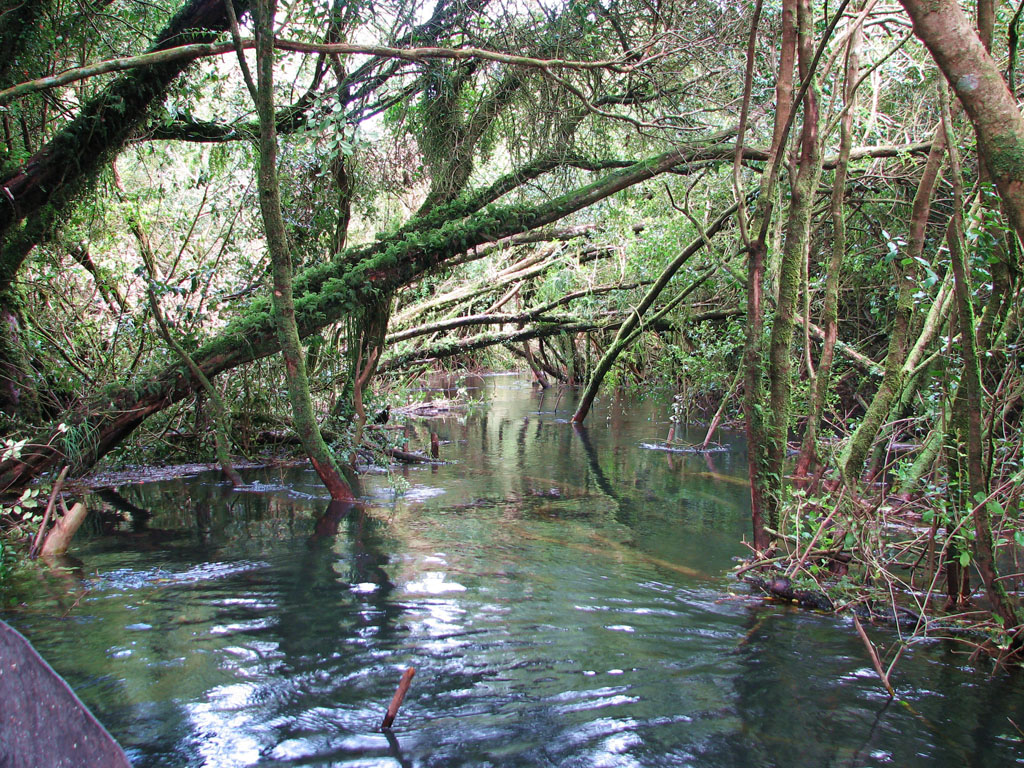 Top 5 sights in Puerto Varas