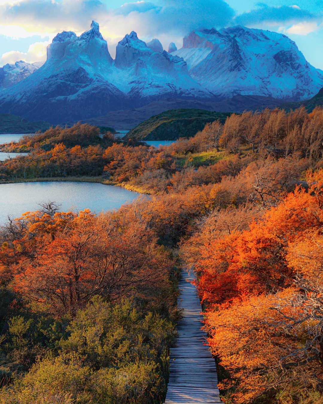 Nurturing Torres del Paine’s Native Forests