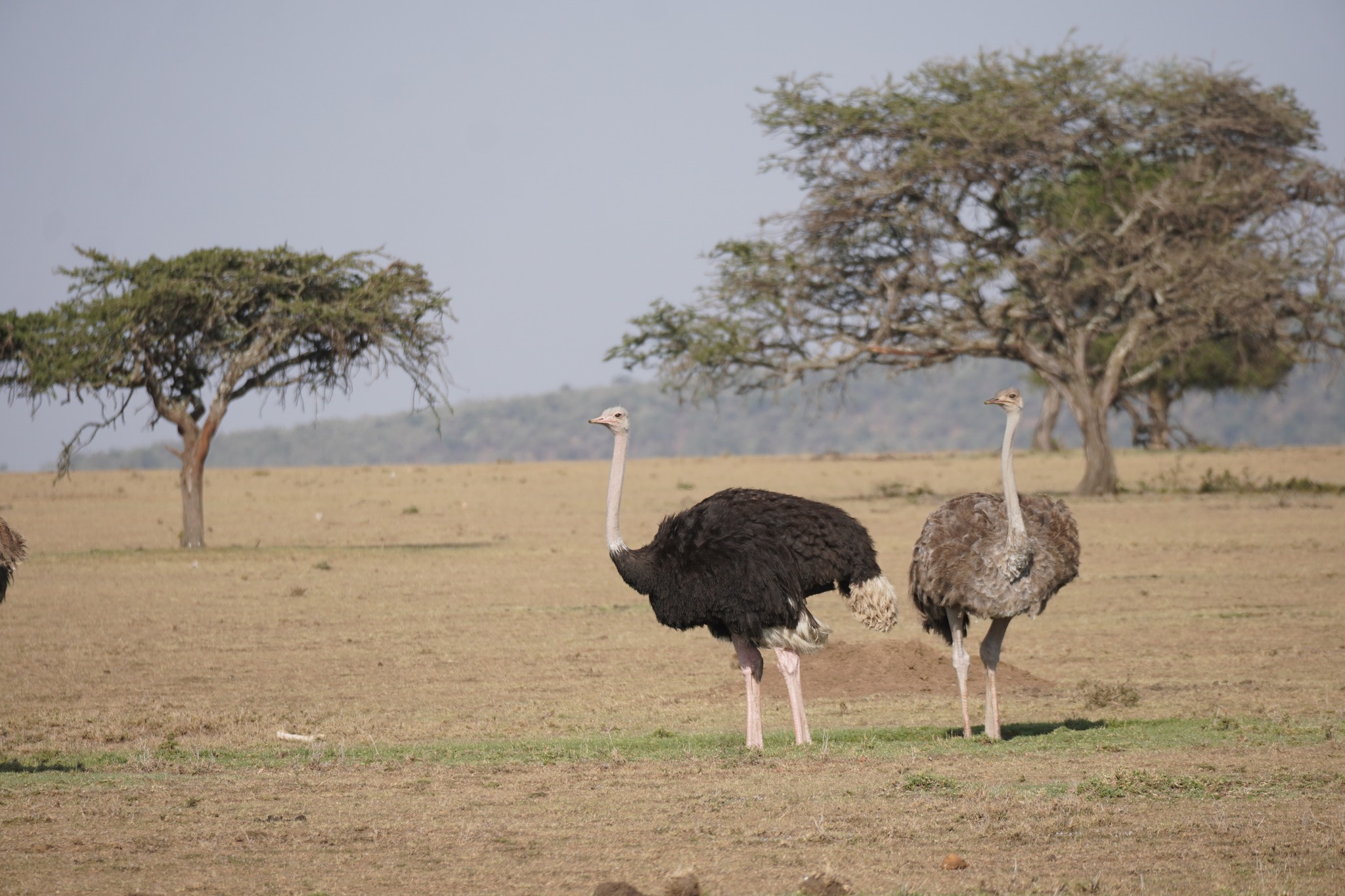 Can You Believe It’s Already Been A Year?