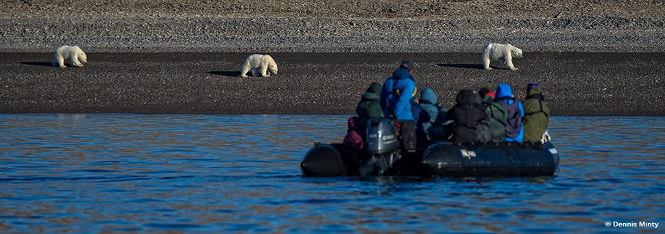 Rediscovering the Northwest Passage