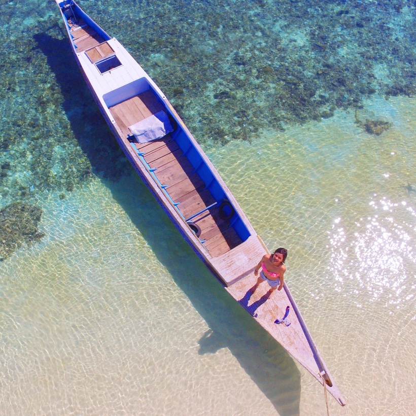 Read All About It: Undiscovered Sulawesi