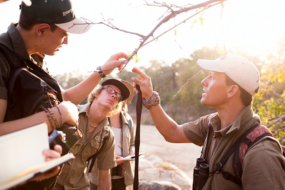 Why It’s a Good Time to Become a Nature Guide