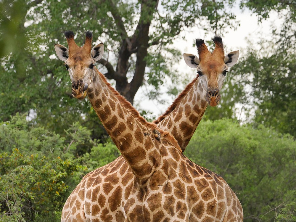 EcoTraining Aces the Academic Test