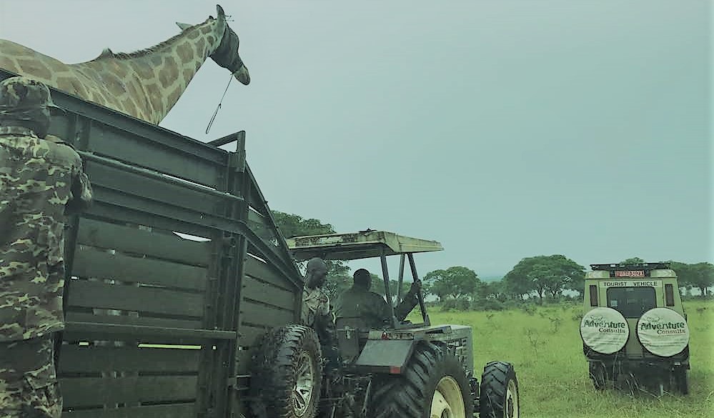 Uganda’s Operation Twiga III Kicks Off