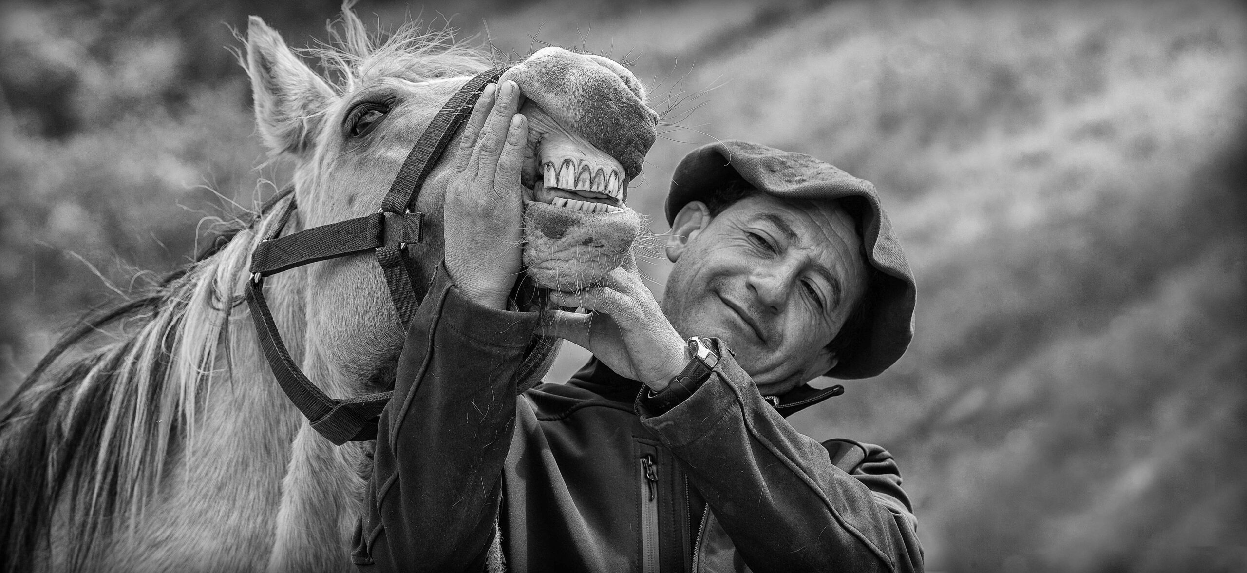 Jessie’s Trip Report: Hotel Las Torres (Part Deux)