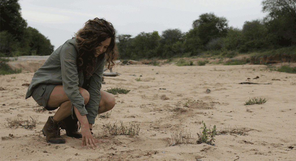 Safe Travel Ideas in Africa for Solo Female Travelers