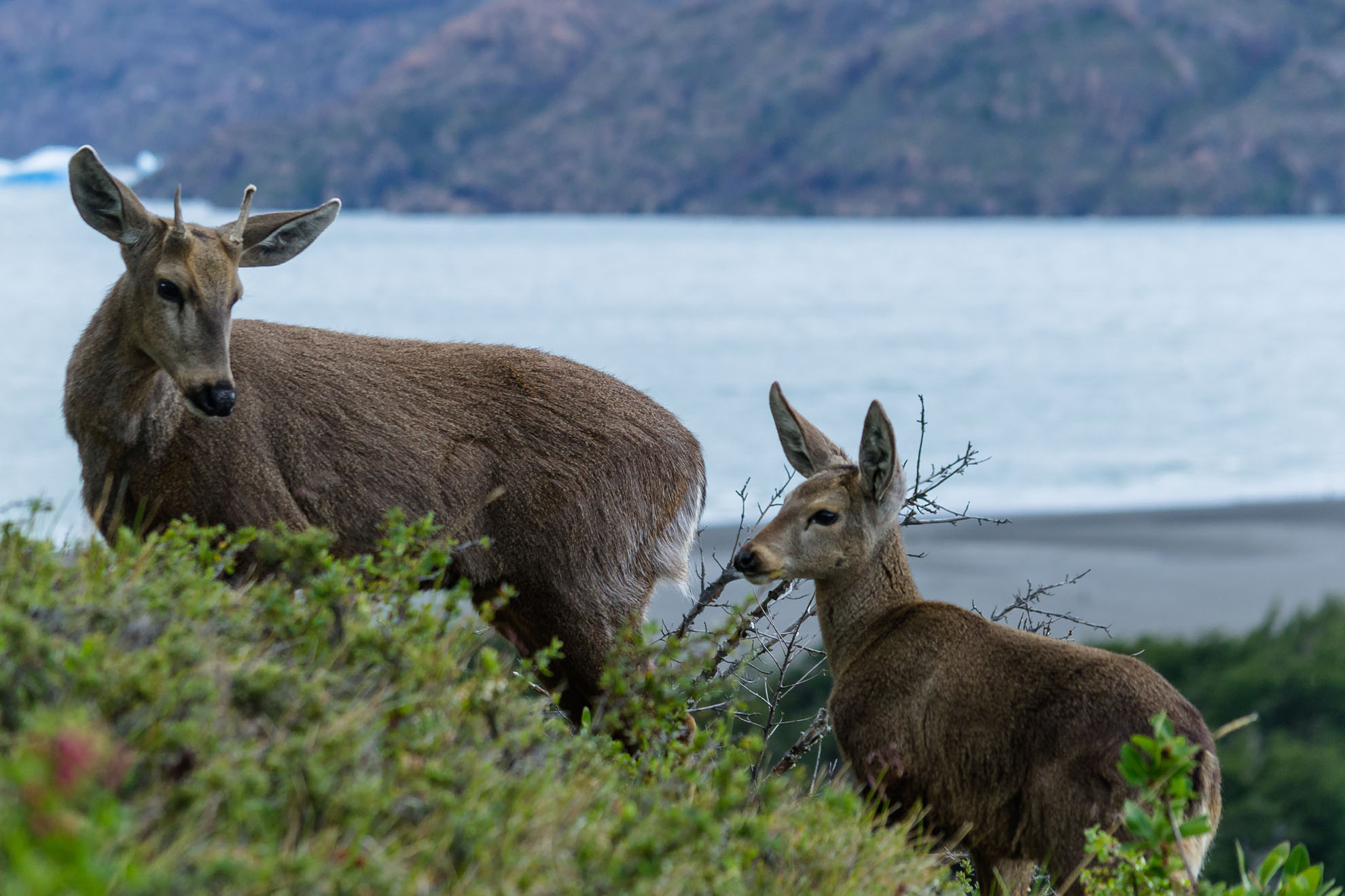Patagonia Like You’ve Never Seen It Before