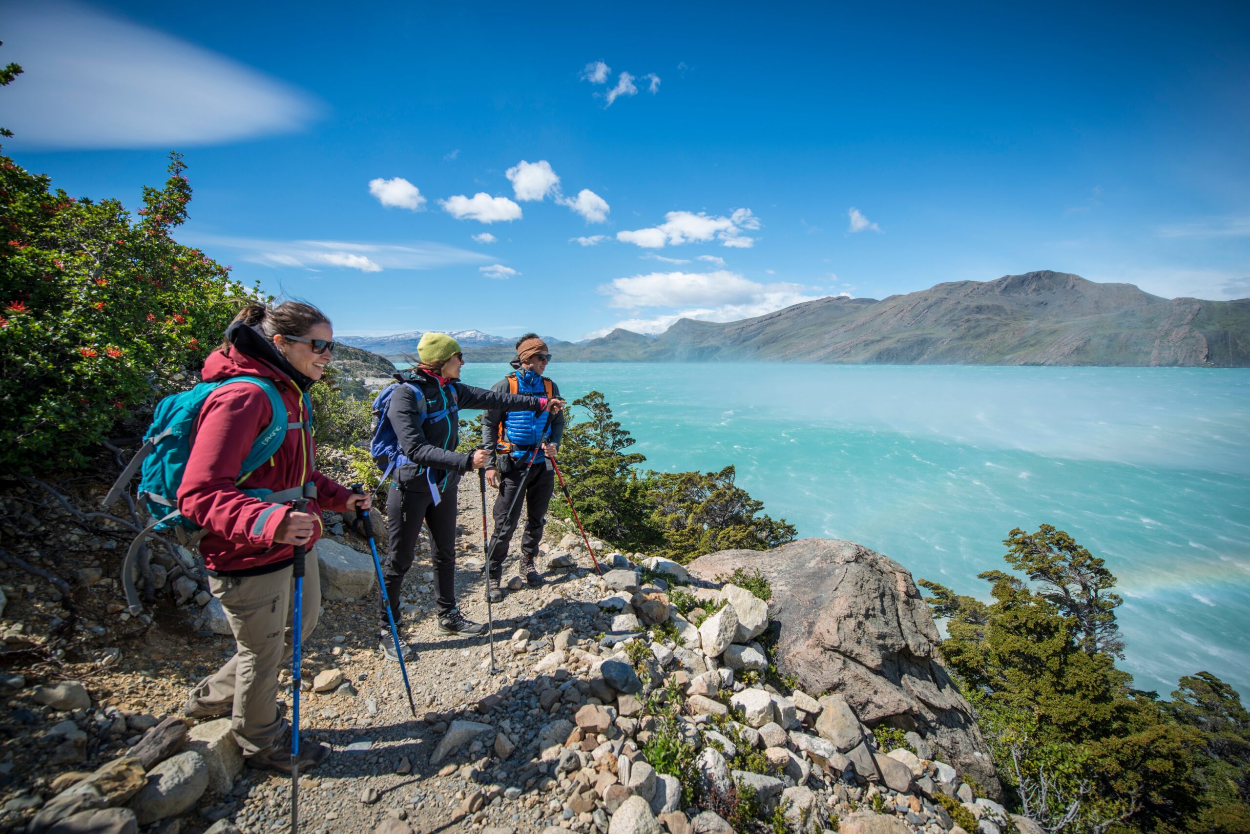 Read All About It! Read All About It! Las Torres Wins Global Vision Award