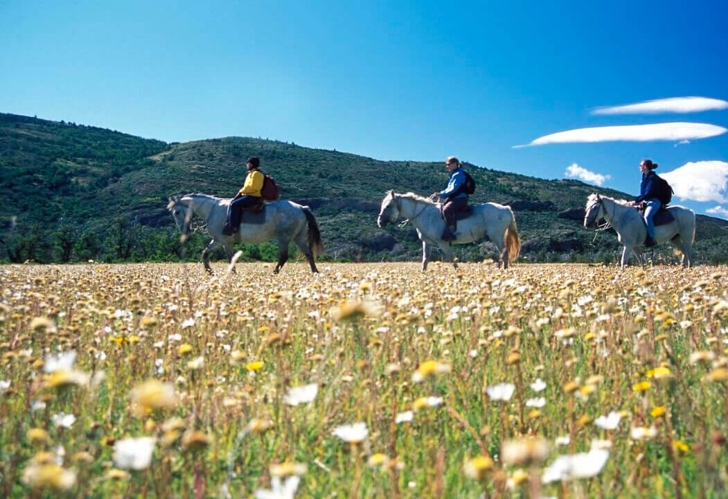 Discover Your Inner Gaucho