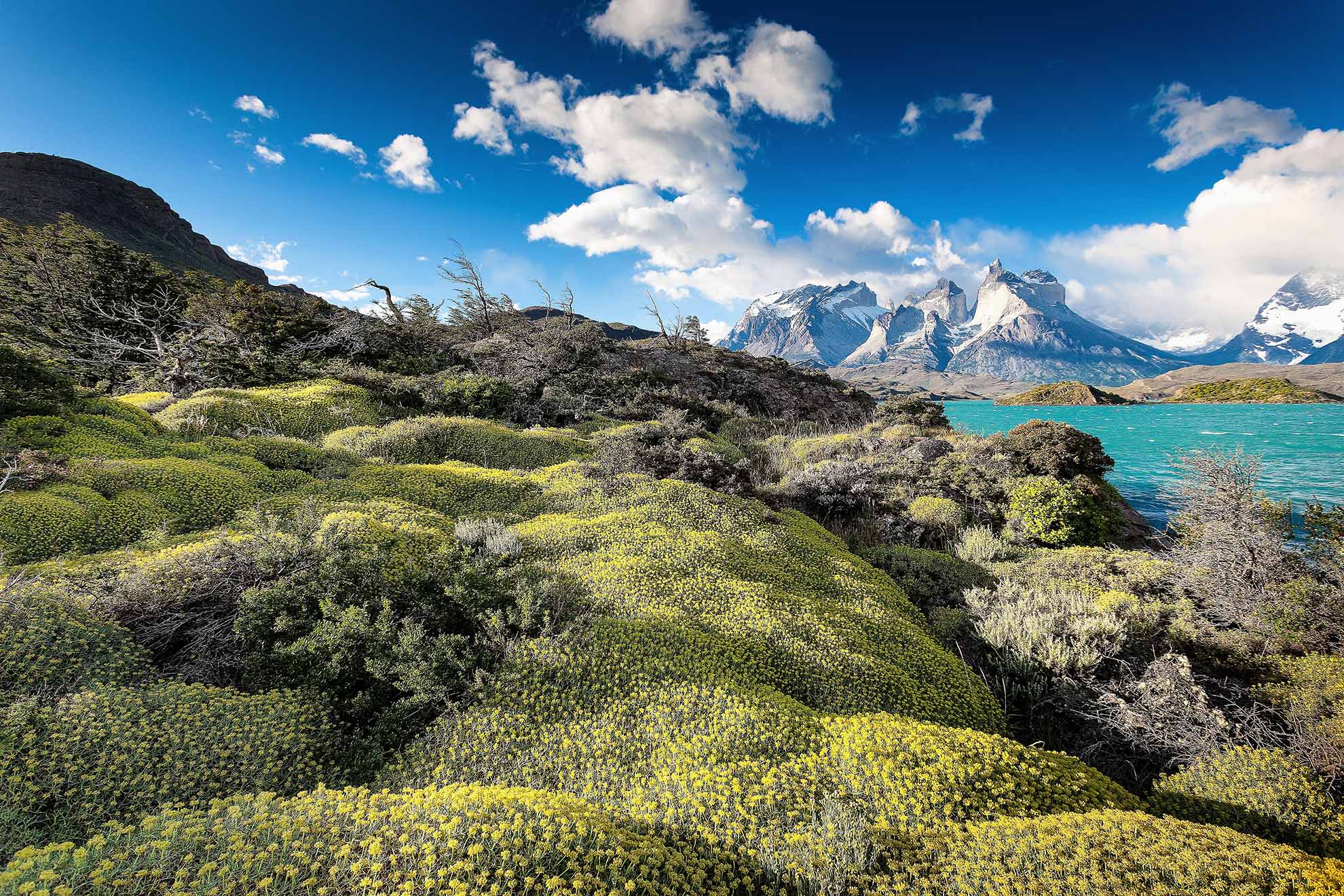 Chile Pulls Ahead in the Vaccination Race