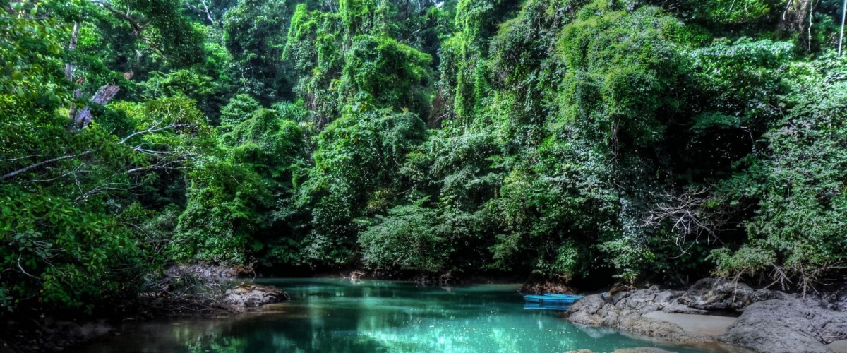 Monteverde — Costa Rica’s Epic Cloud Forest