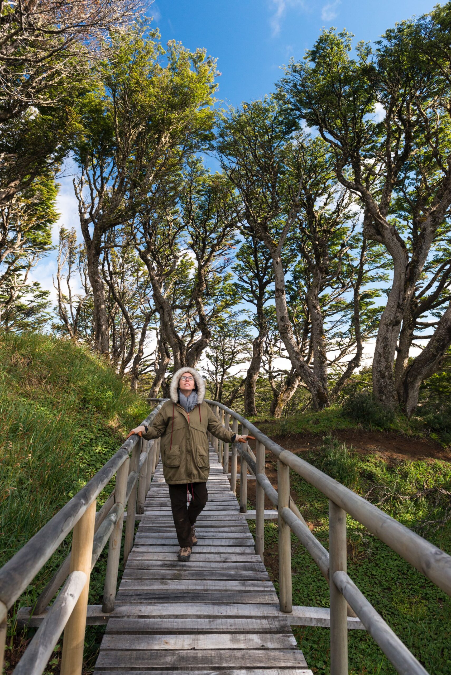 Discover Cape Horn and the Chilean Antarctic