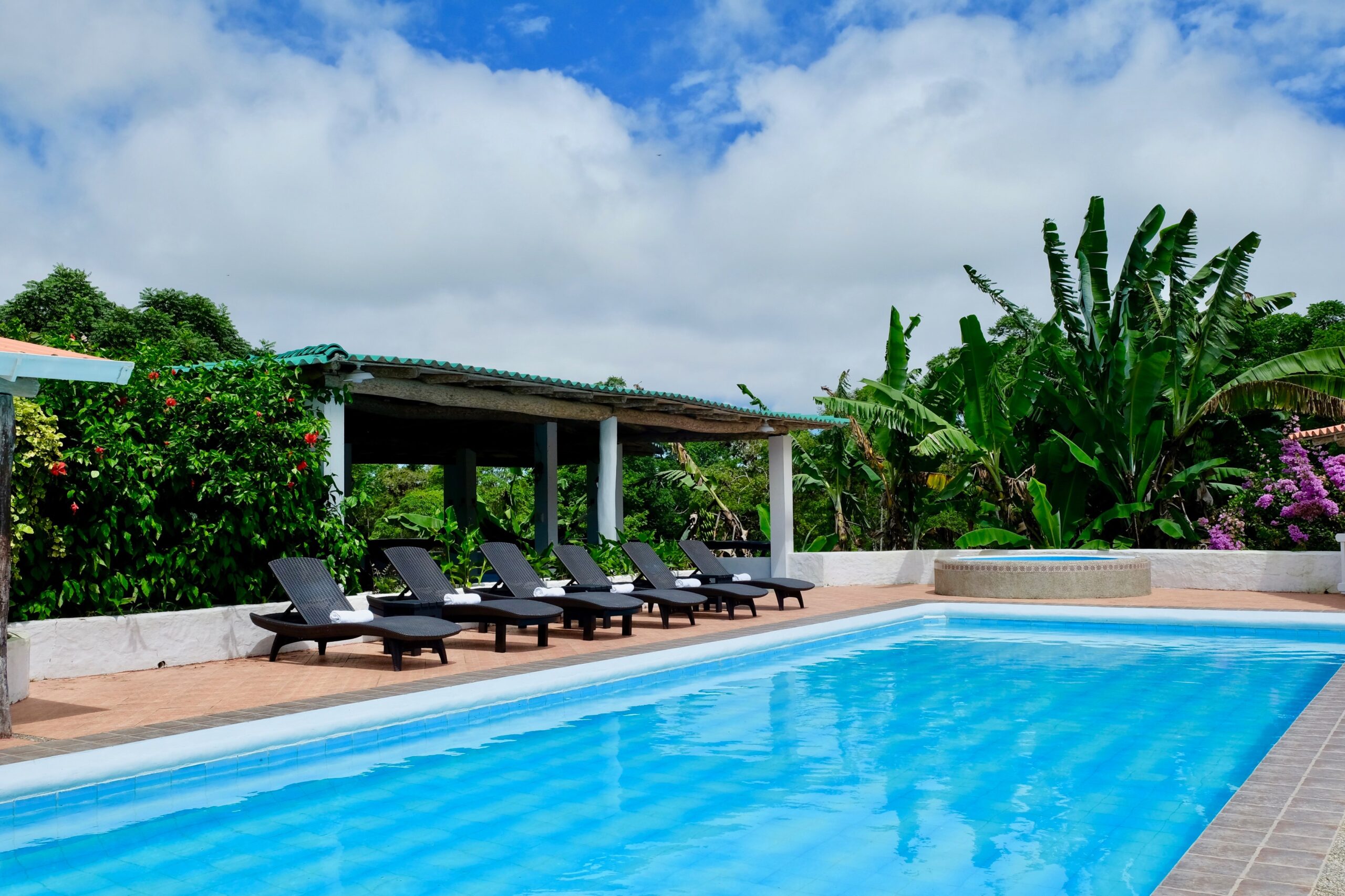 Downward Dog, Uplifting Nature