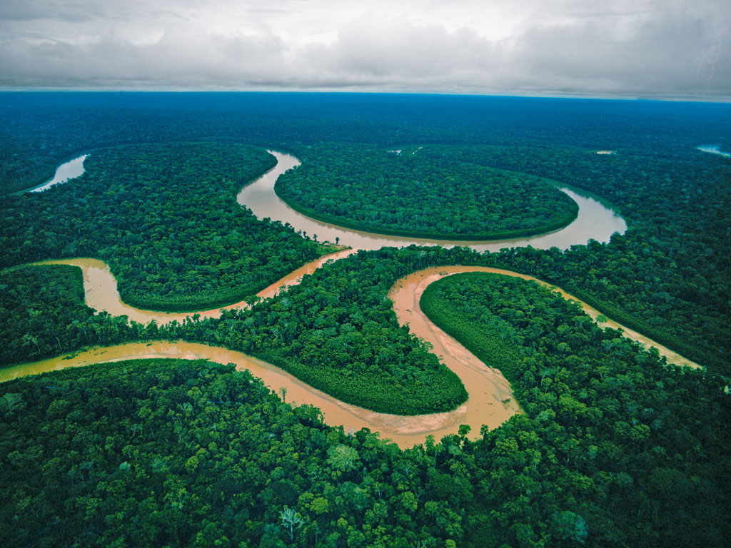 Read All About It: Pink Dolphins and Deadly Piranhas