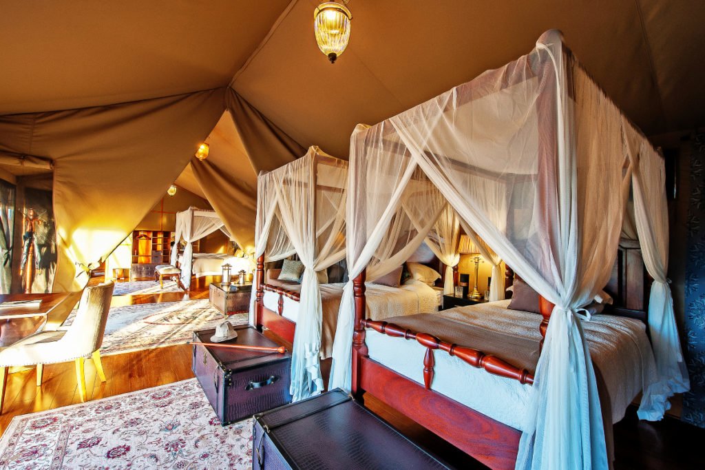 Read All About It: it African Safari Adventures