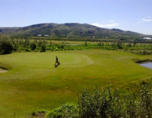 screen-shot-2016-11-21-at-5-41-22-pm