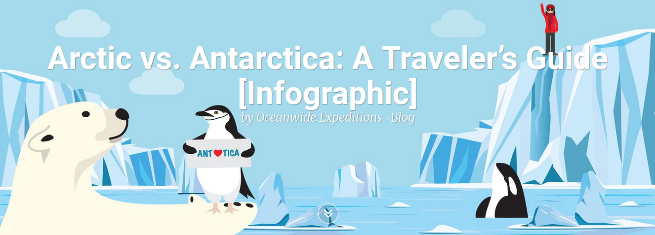 Arctic vs Antarctic: The Eternal Dilemma