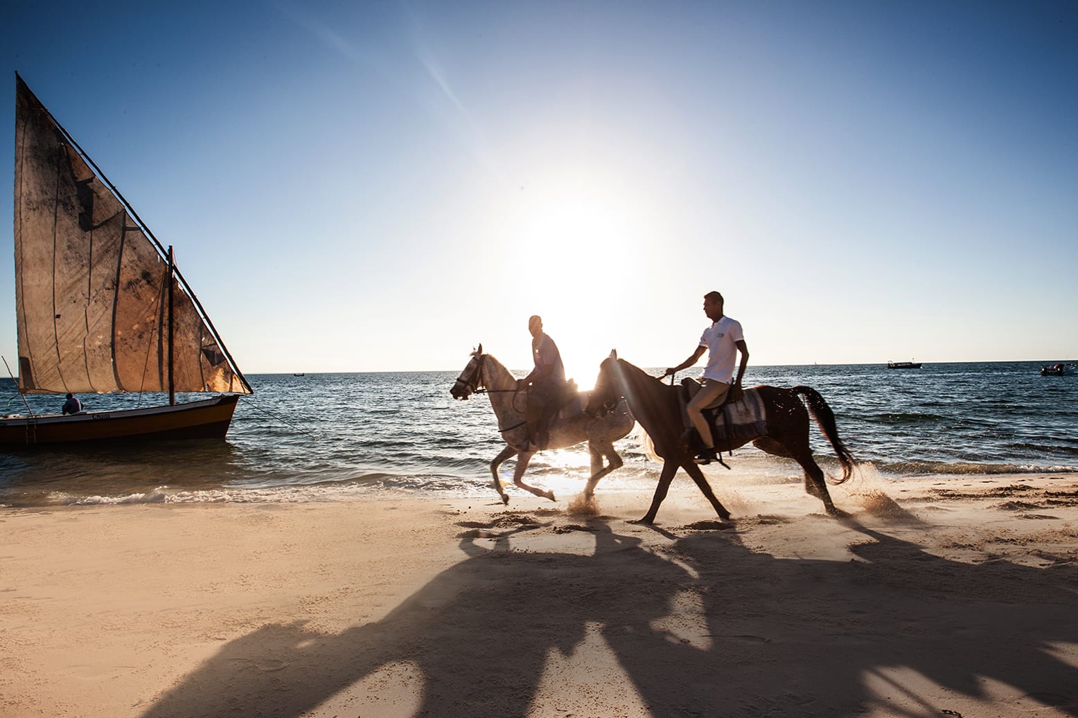 Horsing Around in Mozambique