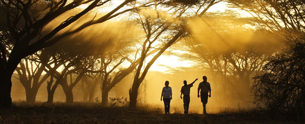 Exploring East Africa with Cheli & Peacock – A Webinar