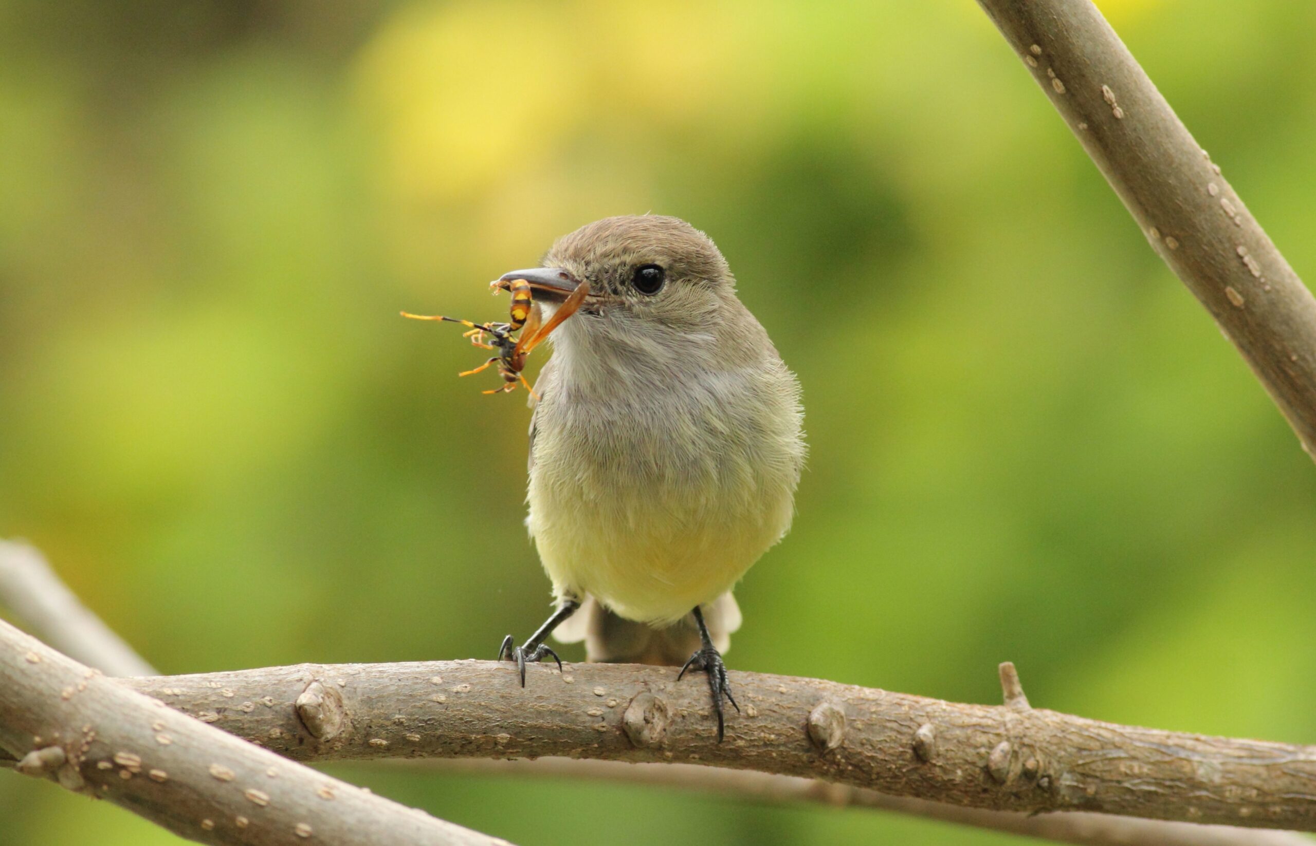 Ecuador Triology — Andes, Amazon and Islands