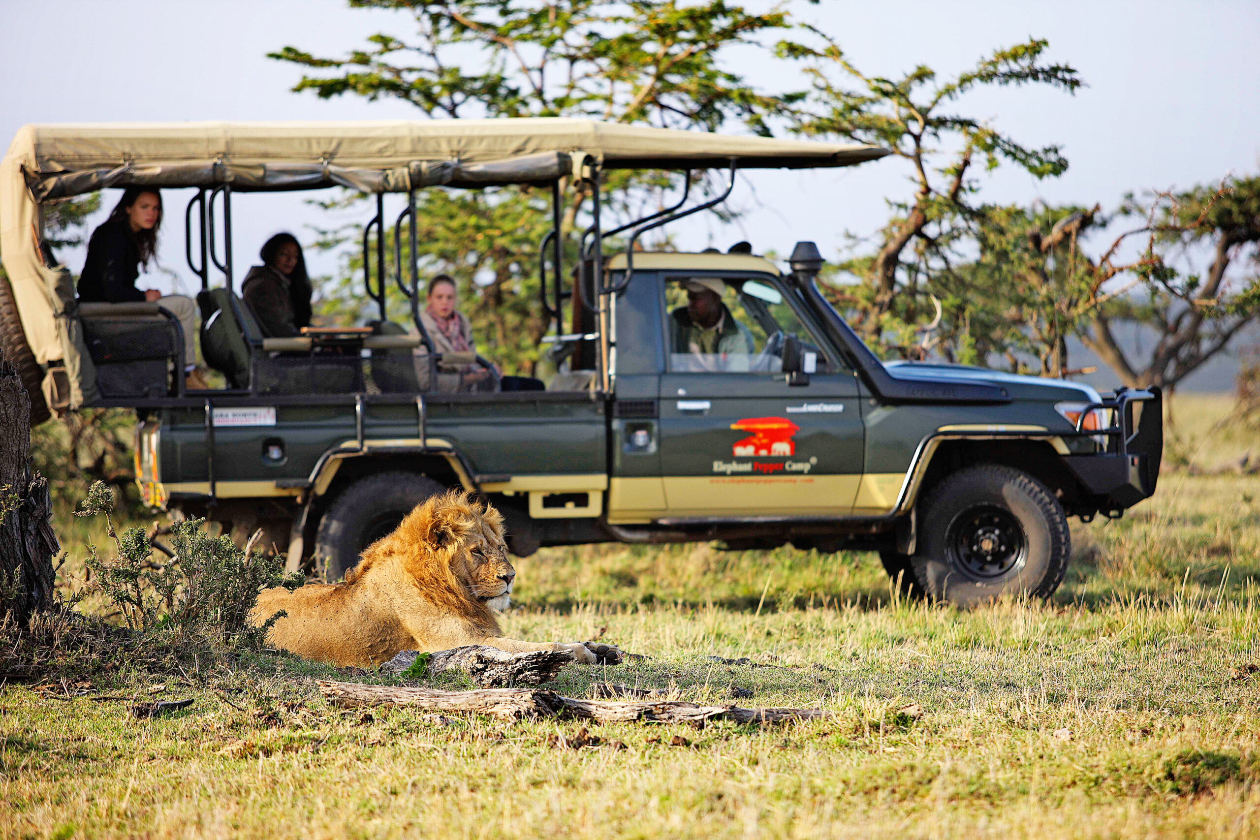 And the Award Goes To . . .