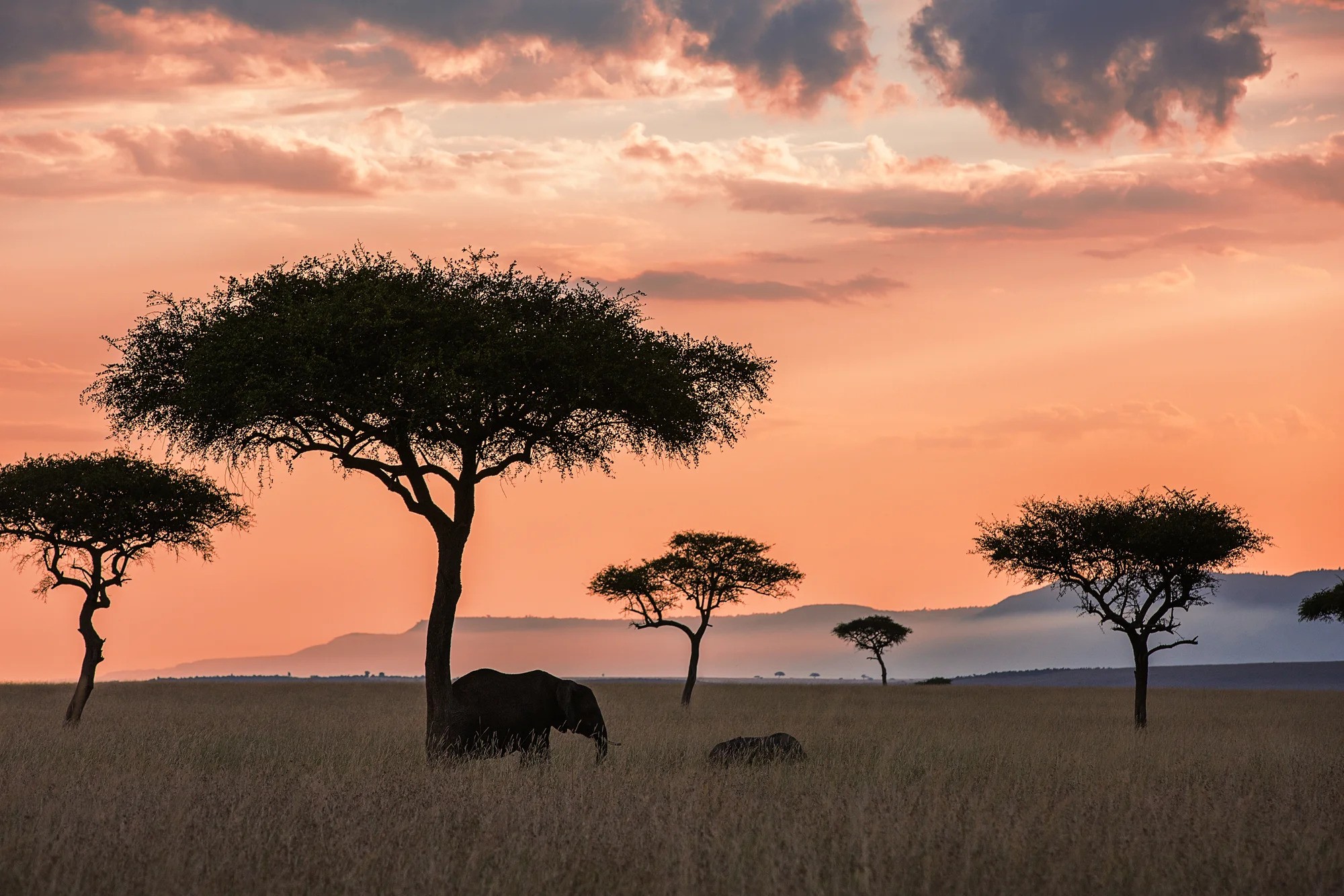 Family Immersion by GVI Expeditions