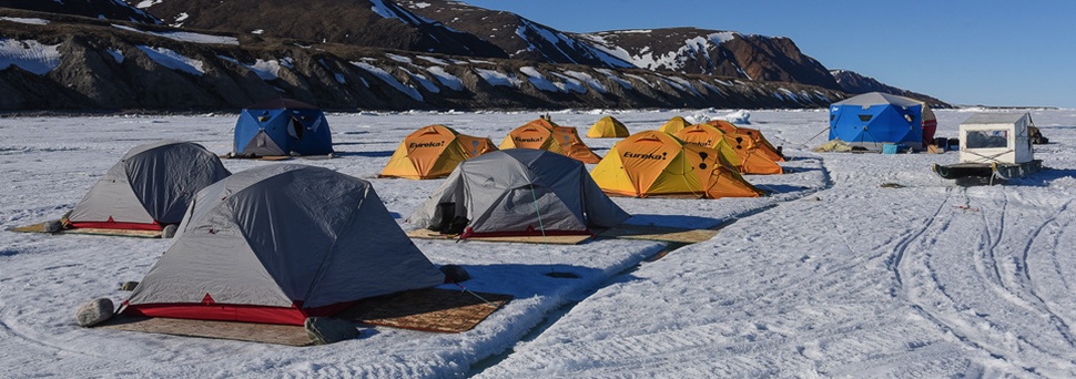 Narwhals and Polar Bears on Canada’s Floe Edge
