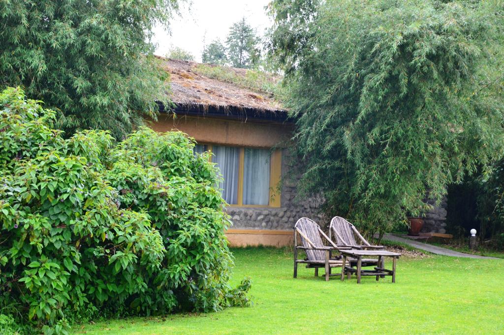 Trip Report: Ultimate Uganda & Rwanda (Part Four)