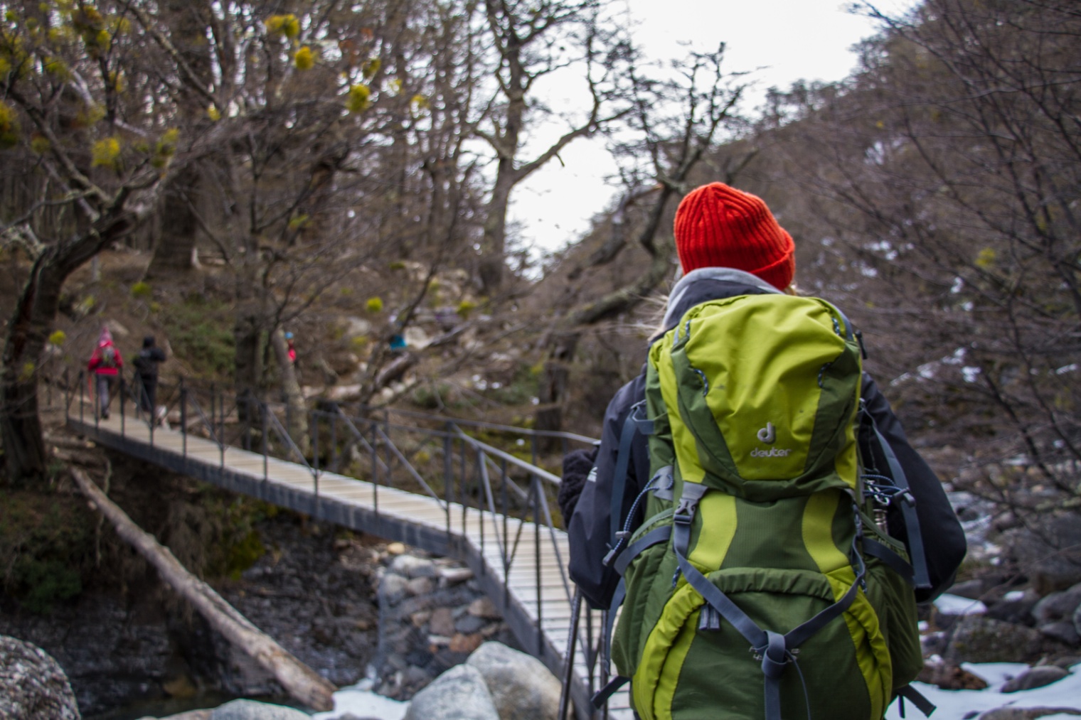 Escape Into the Wild