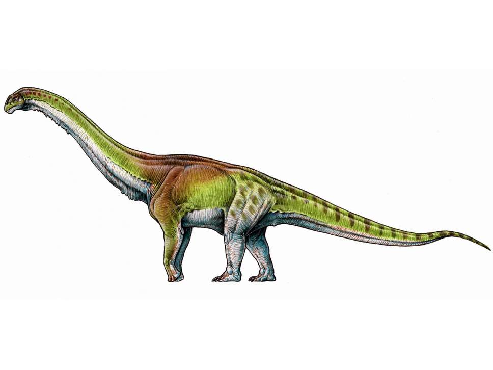 Read All About It: Biggest-ever dinosaur found in Patagonia