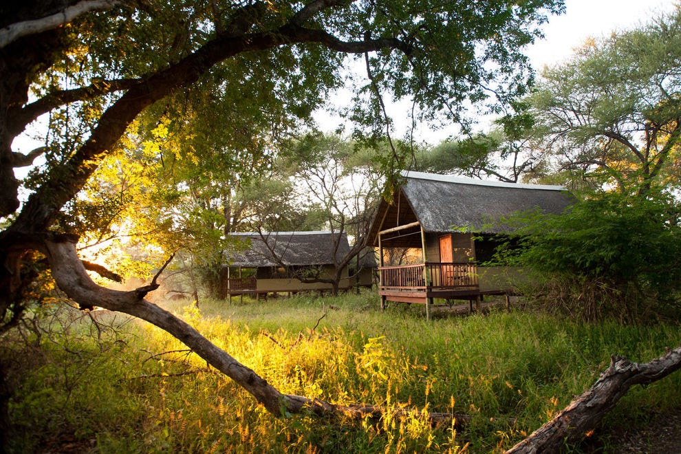 Read All About It: A Safari Lodge for Every Traveler