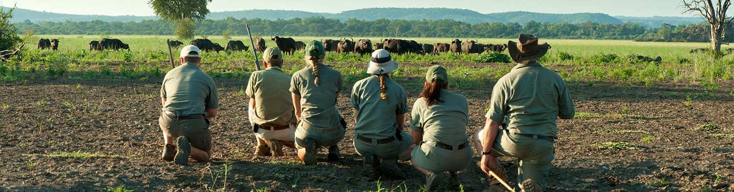 So You Wanna Be a Famous Conservationist?