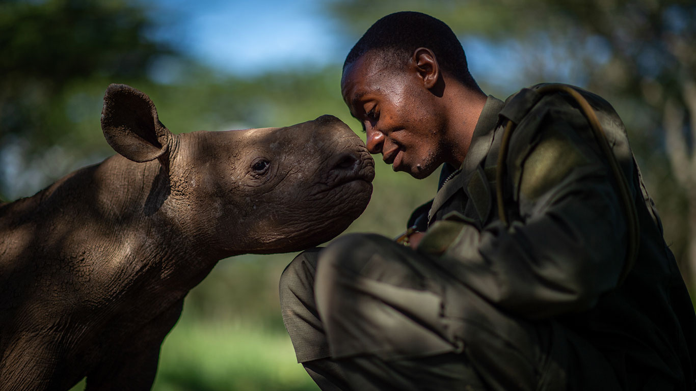 Lewa WPY MartinBuzora TheSurrogateMother