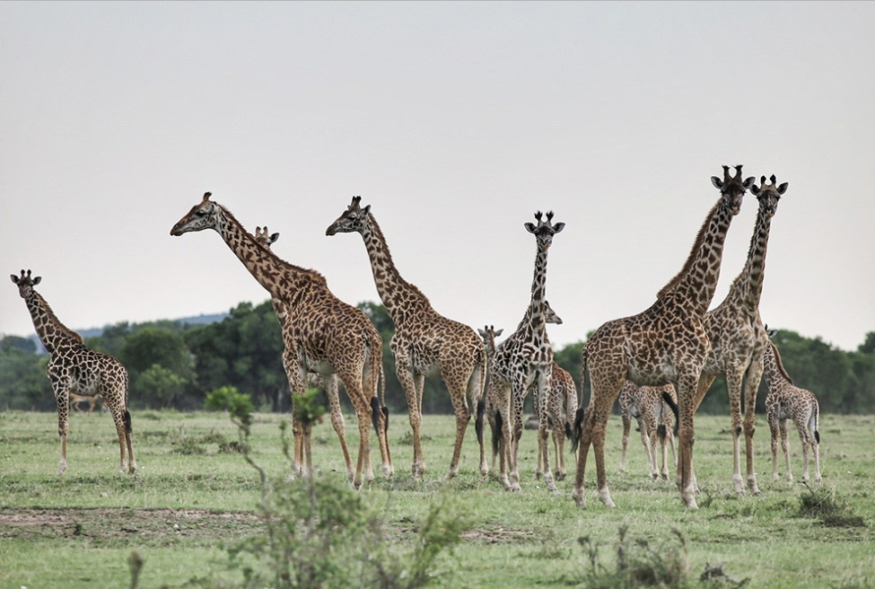 EcoTraining and Tourvest Partner on Community Guide Training