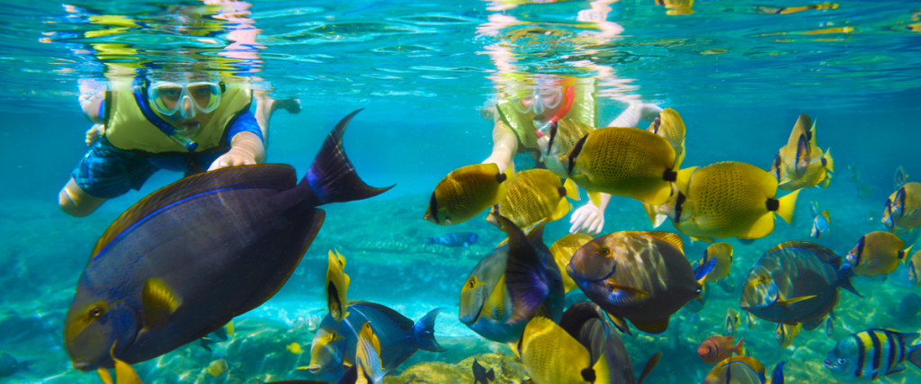 Why Costa Rica? Incredible Nature & Wildlife