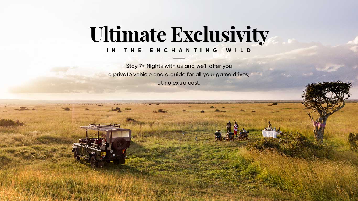 Private Safari at No Extra Cost? You Betcha!