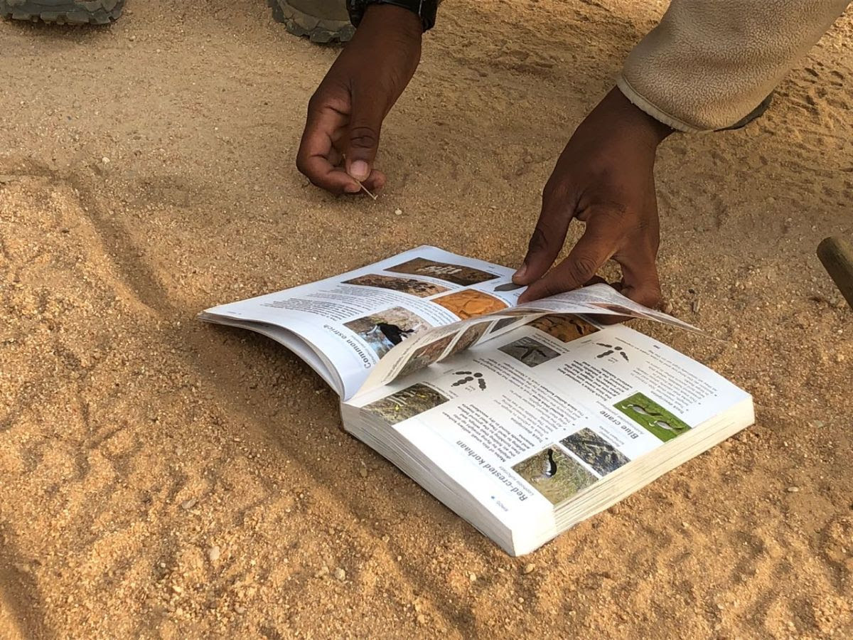 EcoTracker: Following in the “footsteps” of wild animals