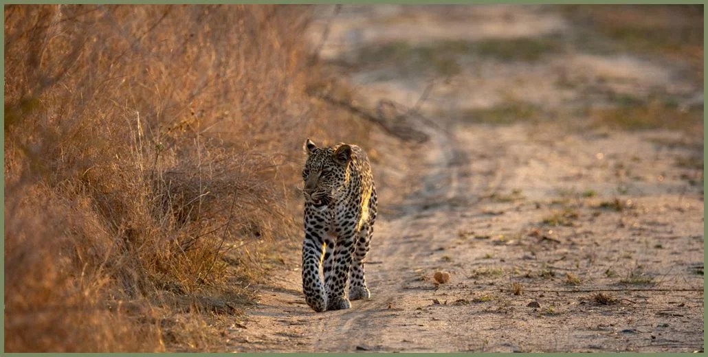 Another Day in Paradise - Cover