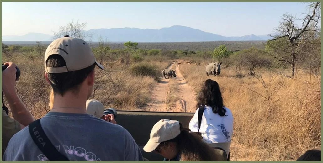 Another Day in Paradise - Safari Drive