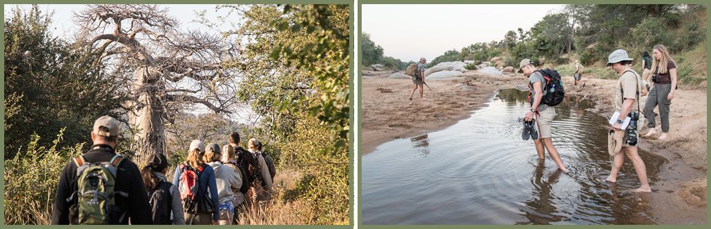 The Art of Walking in the African Bush